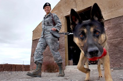 101216-F-5985C-145        U.S. Air Force Staff Sgt. Bobbie Ohm walks with Nero, a working military dog, to search for explosives during a joint explosive detection training exercise at Nellis Air Force Base, Nev., on Dec. 16, 2010.  Ohm, a military working dog handler, is assigned to the 99th Security Forces Squadron.  DoD photo by Senior Airman Brett Clashman, U.S. Air Force.  (Released)