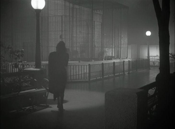 cat-people-10-leopard